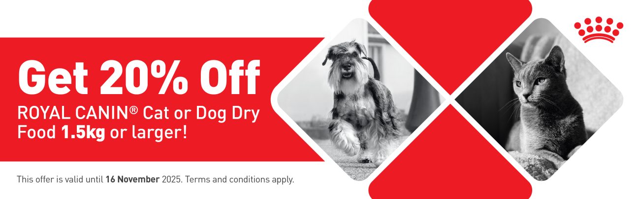 2125RC_Clickplay Promo_v1_1920x600px (002)