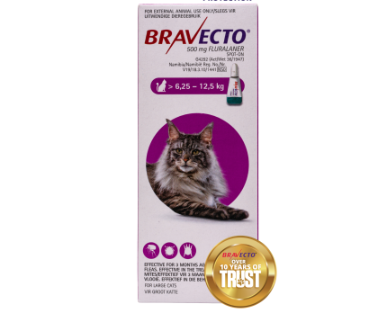 Bravecto Large Cat 6.25-12.5kg Spot On Tick & Flea