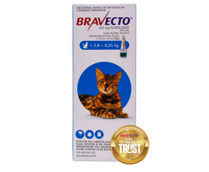 Bravecto Medium Cat 2.8-6.25kg Spot On Tick & Flea