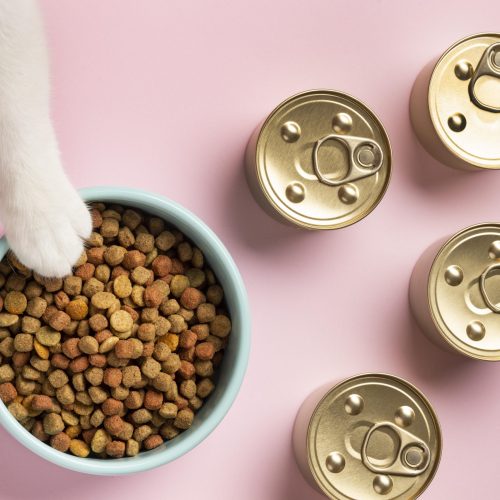 still-life-domestic-animal-food-composition